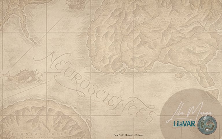 La Mappa della Mente e le sue trappole