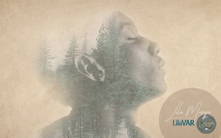La mente silenziosa e i 3 stati tipici della mente