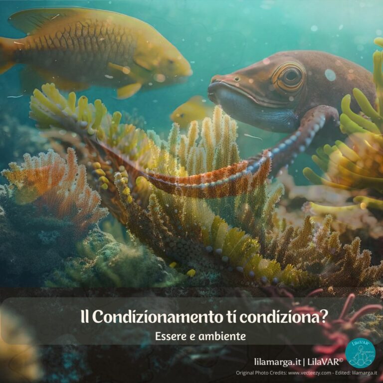 Condizionamento - Essere e Ambiente