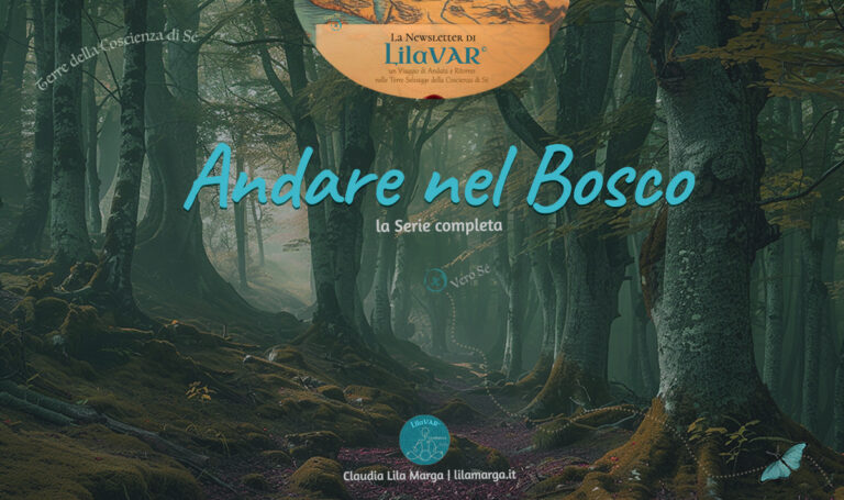 Andare nel Bosco - Serie Newsletter_LilaVAR